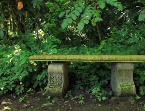 gray and green concrete bench thumbnail