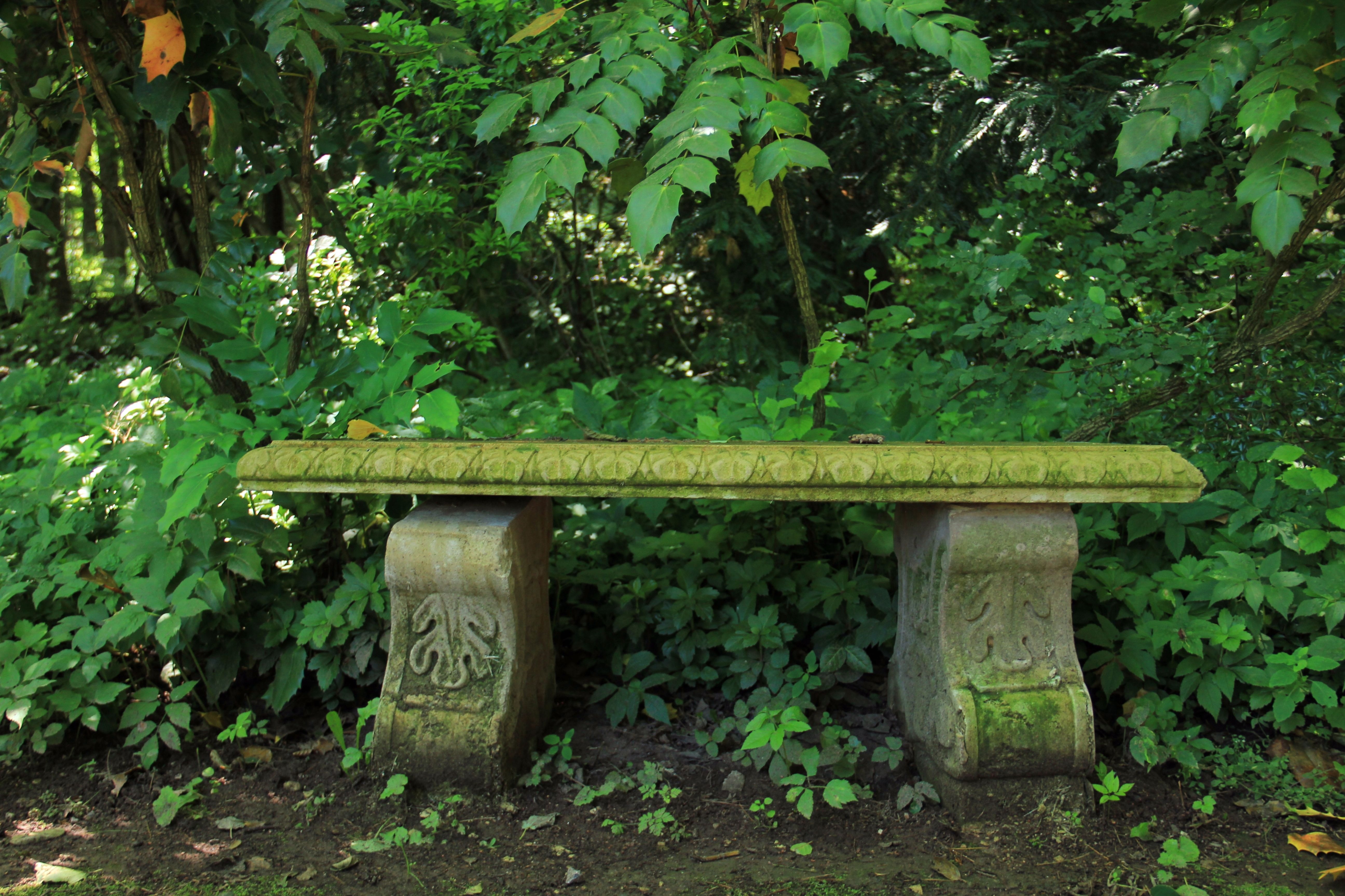 gray and green concrete bench