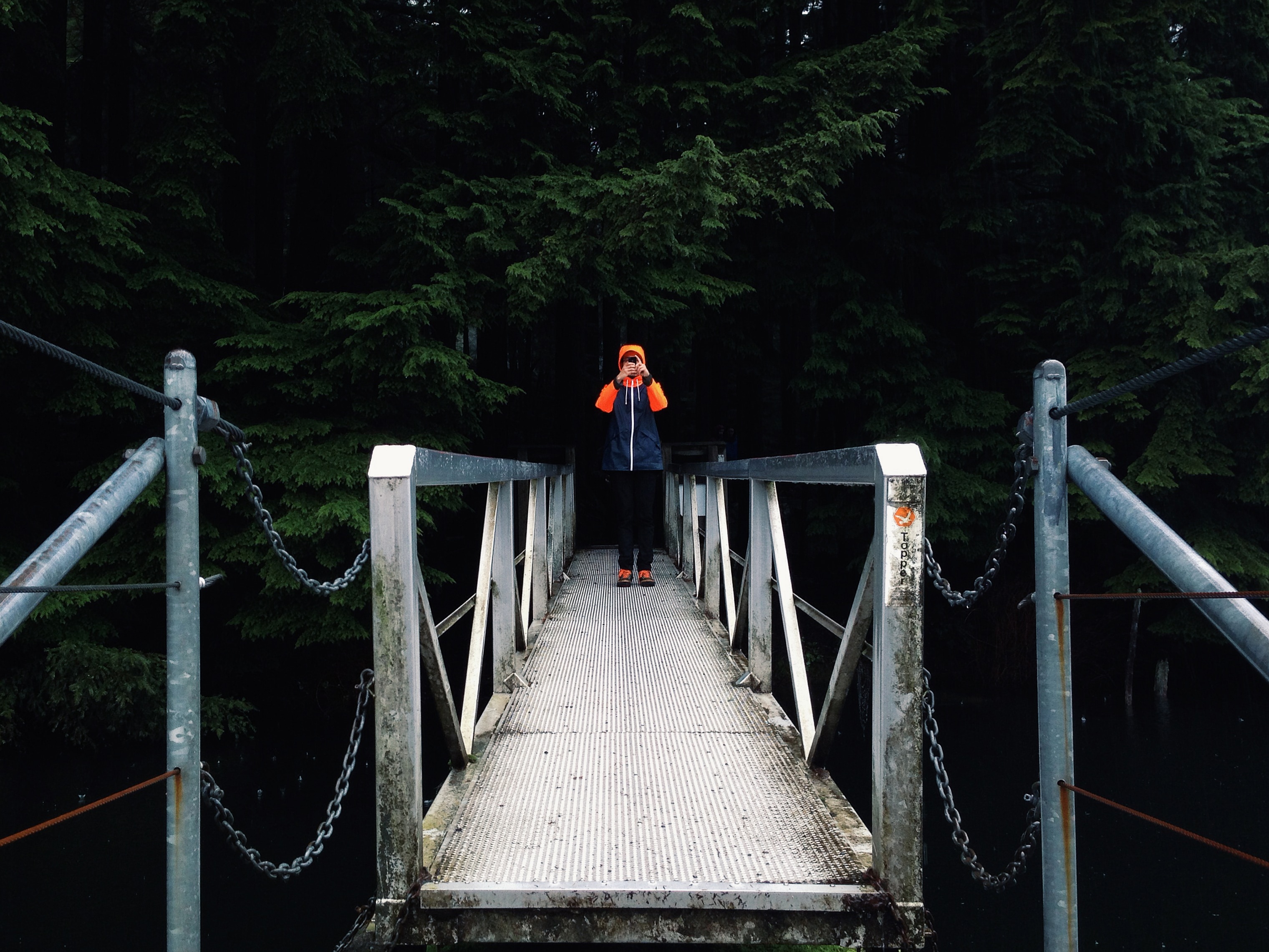 person on the gray metal bridge near pine trees