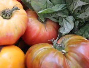 red and yellow tomatoes thumbnail