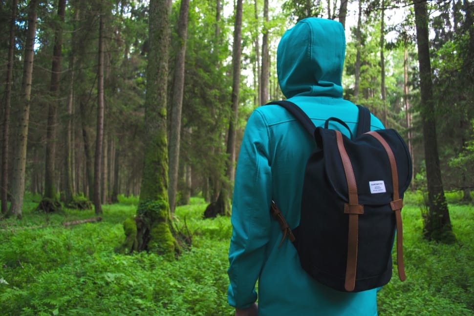 person in blue hoodie wearing brown and black backpack standing near forest during daytime preview