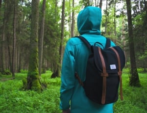 person in blue hoodie wearing brown and black backpack standing near forest during daytime thumbnail