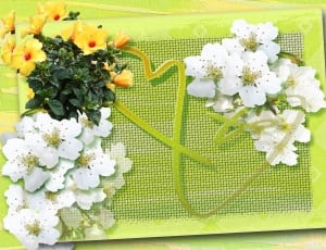 green and white floral decor thumbnail
