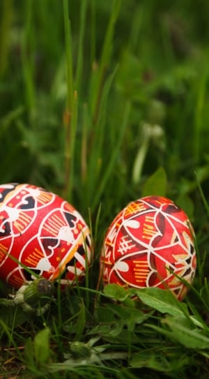 2 red white yellow and brown easter eggs thumbnail