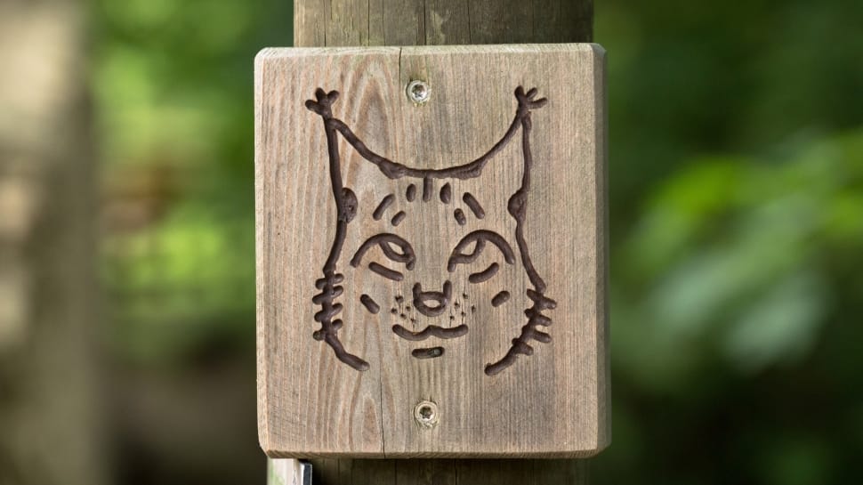 brown wooden board with cat engraved preview