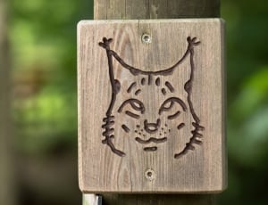 brown wooden board with cat engraved thumbnail