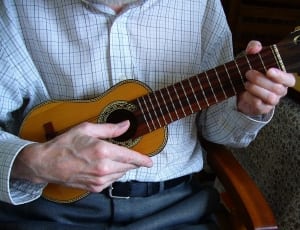 brown multi string musical instrument thumbnail