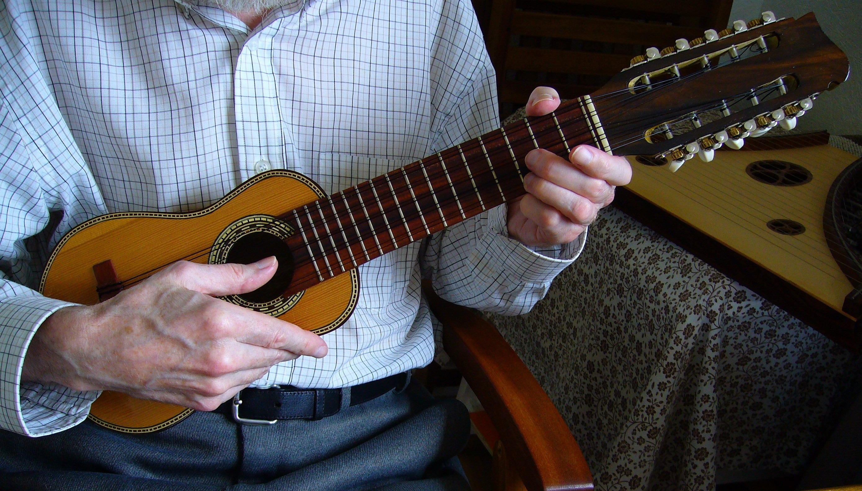 brown multi string musical instrument