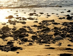 gray pebbles on the sand thumbnail