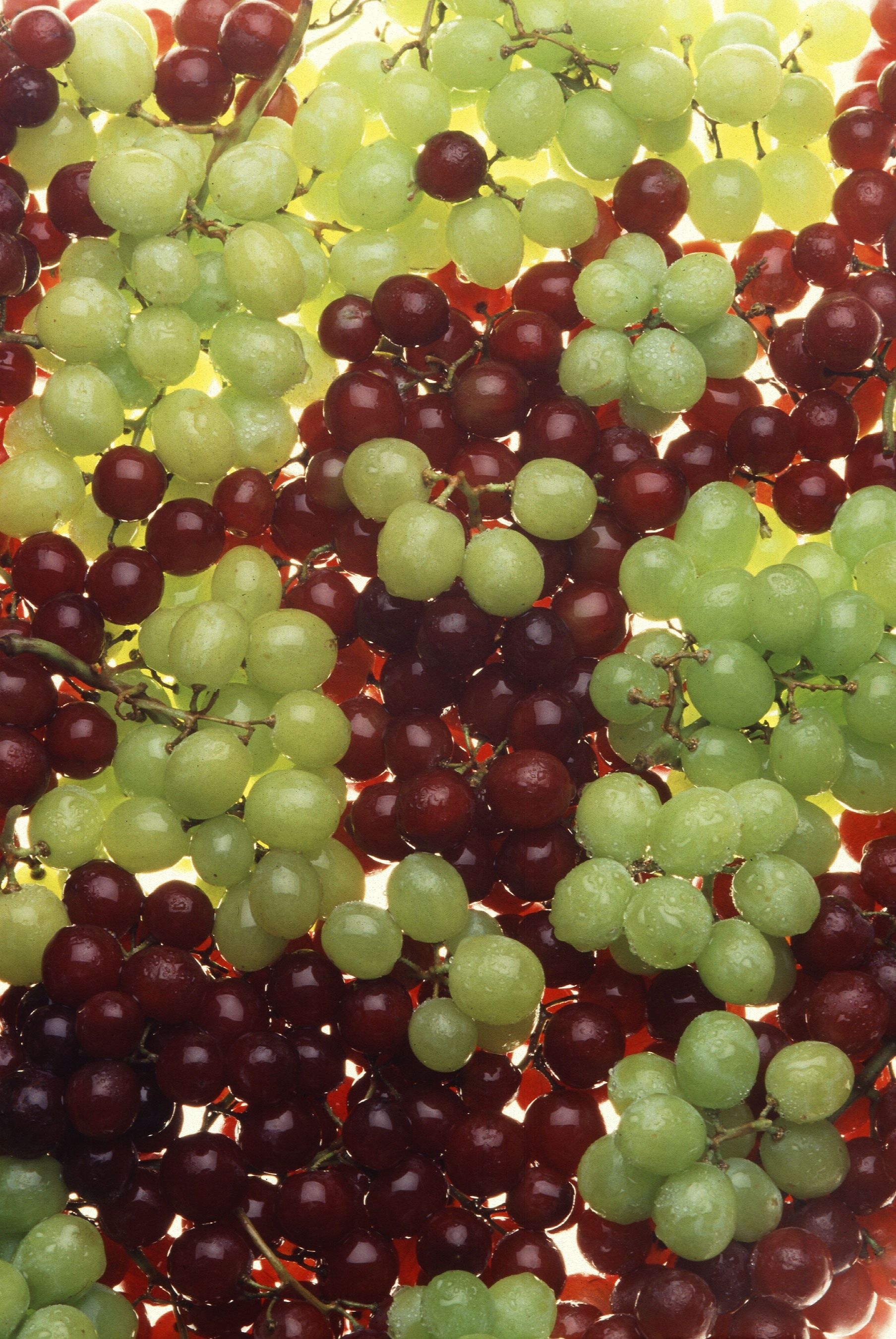 green and purple grapes