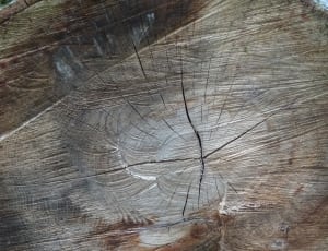 brown wood surface thumbnail