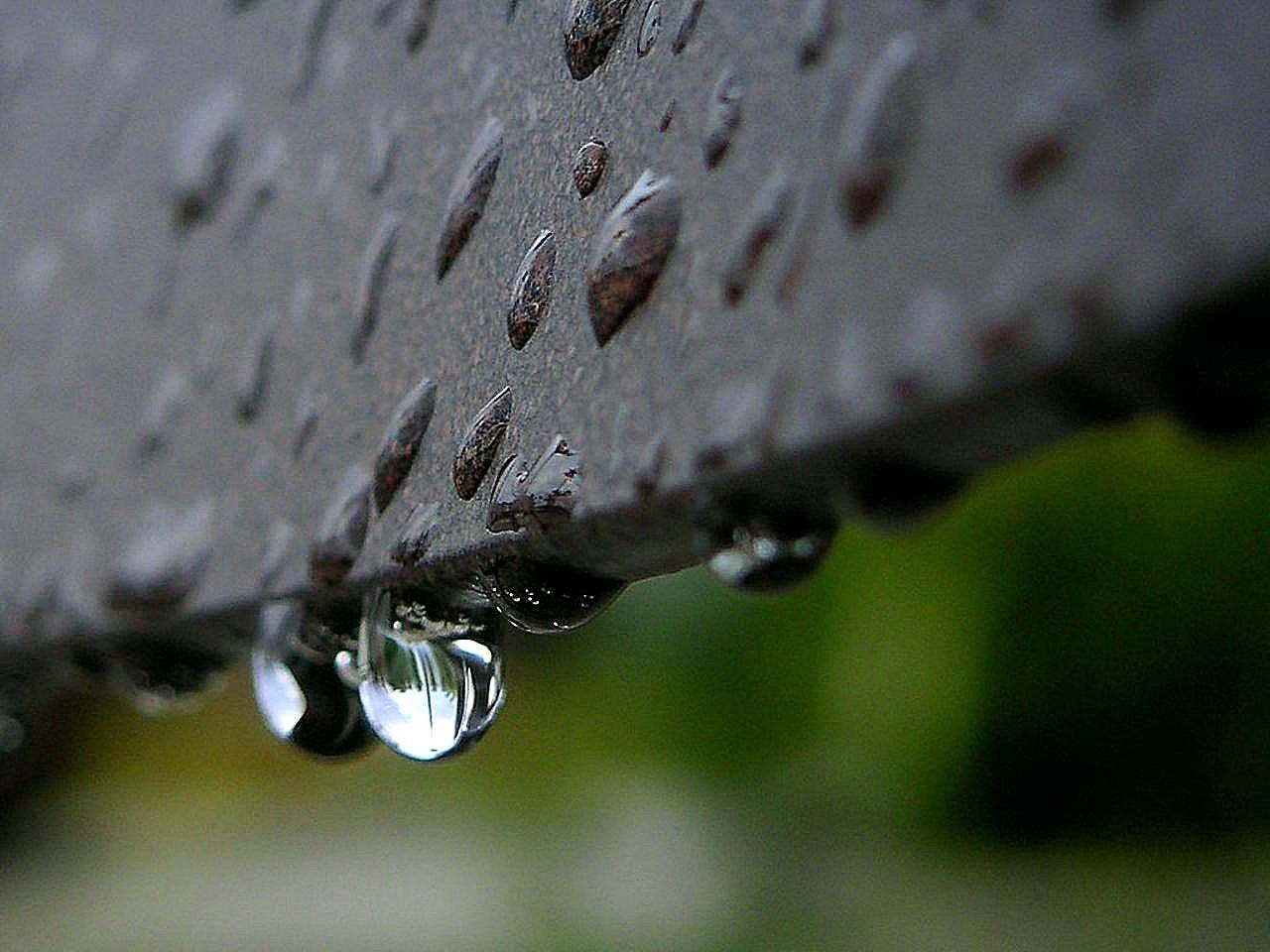 Drops, Dew, Or, Rain, Landscapes, Nature, water, drop