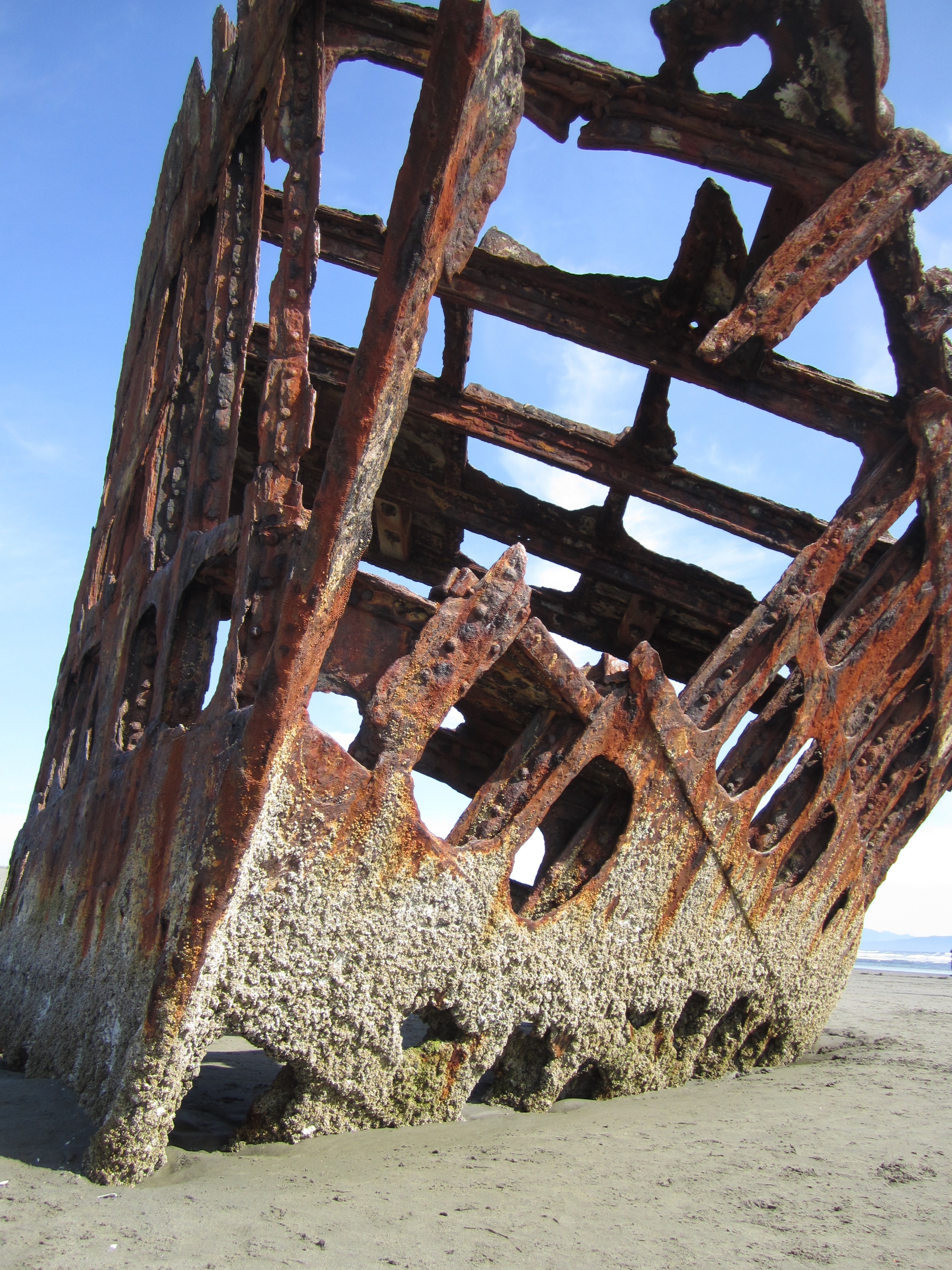 rusted abandoned sunken ship