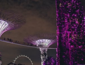 purple lighted architecture during night time thumbnail
