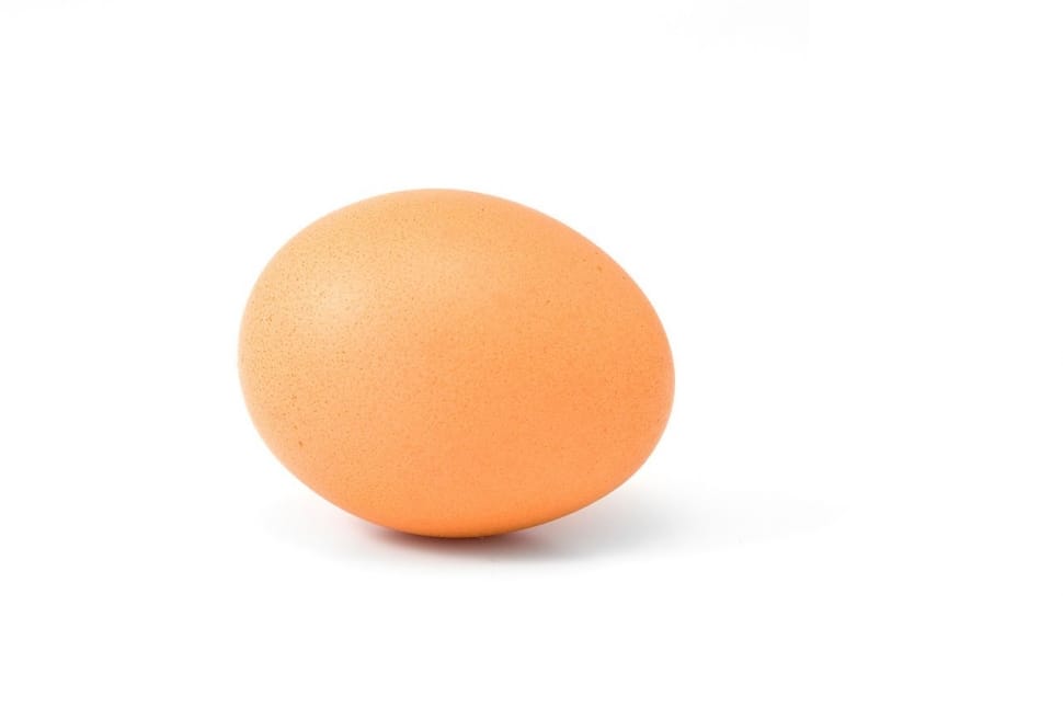 orange egg preview