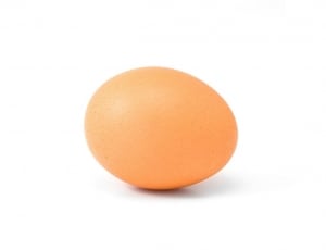 orange egg thumbnail