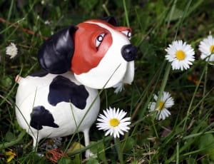brown white and black dog figurine near with white daisy thumbnail