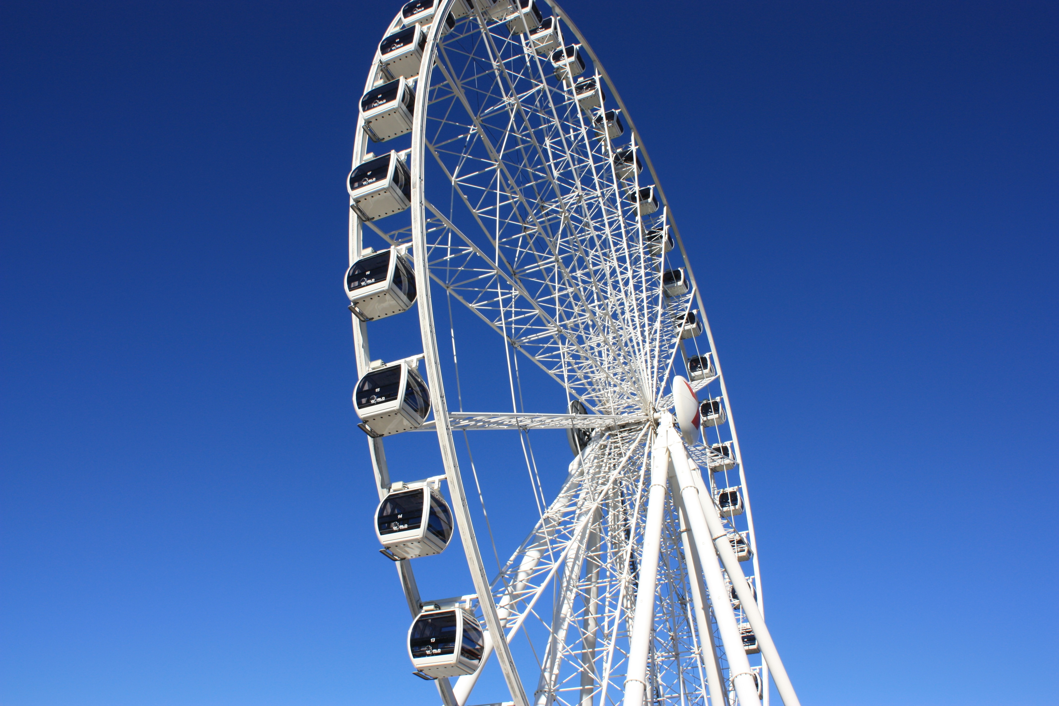 white ferris wheel
