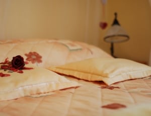 pink throw pillow and bed comforter thumbnail
