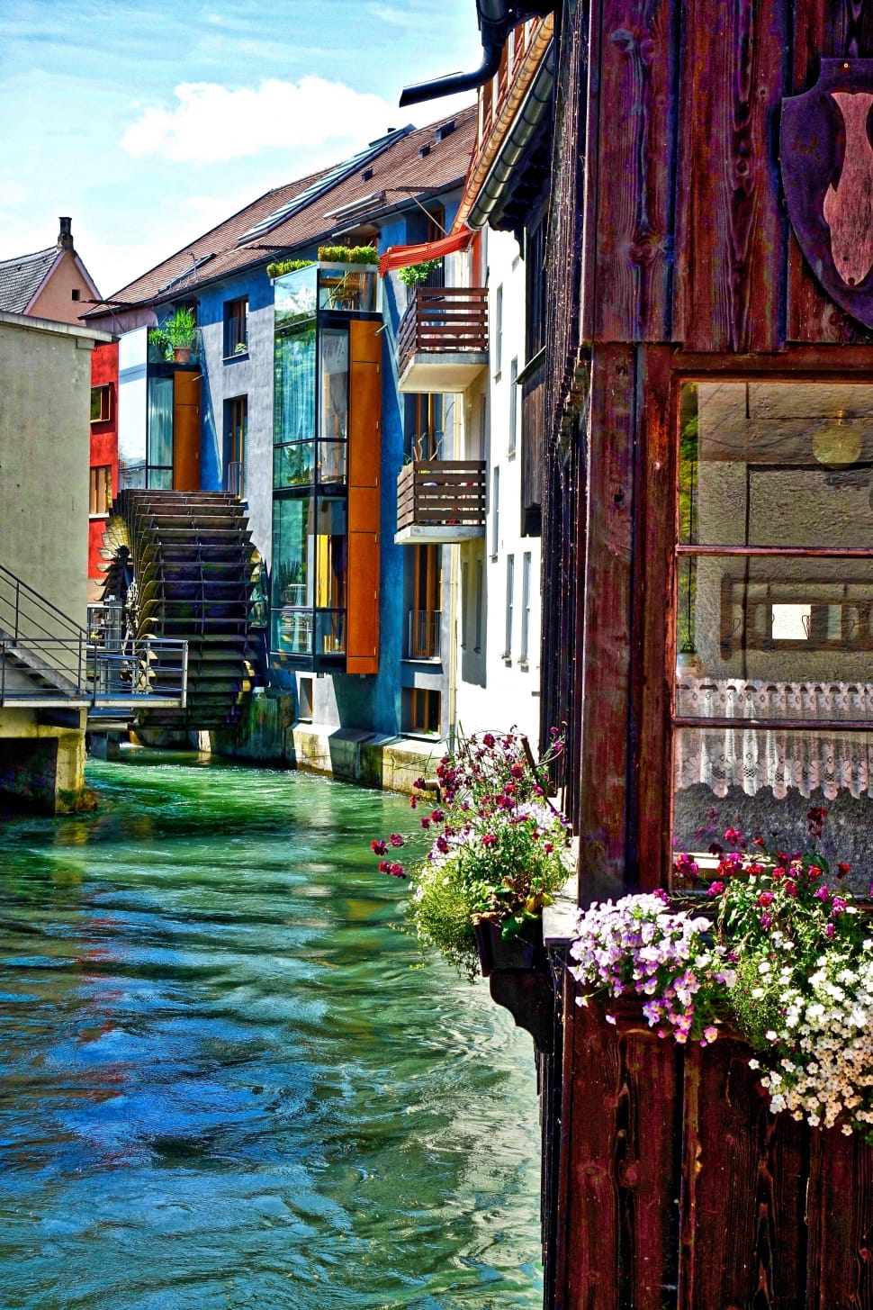 body of water with flowers and houses preview