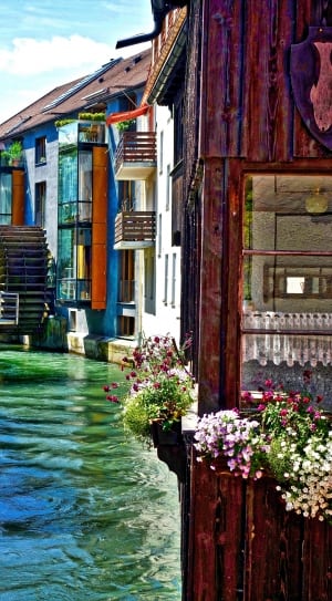 body of water with flowers and houses thumbnail