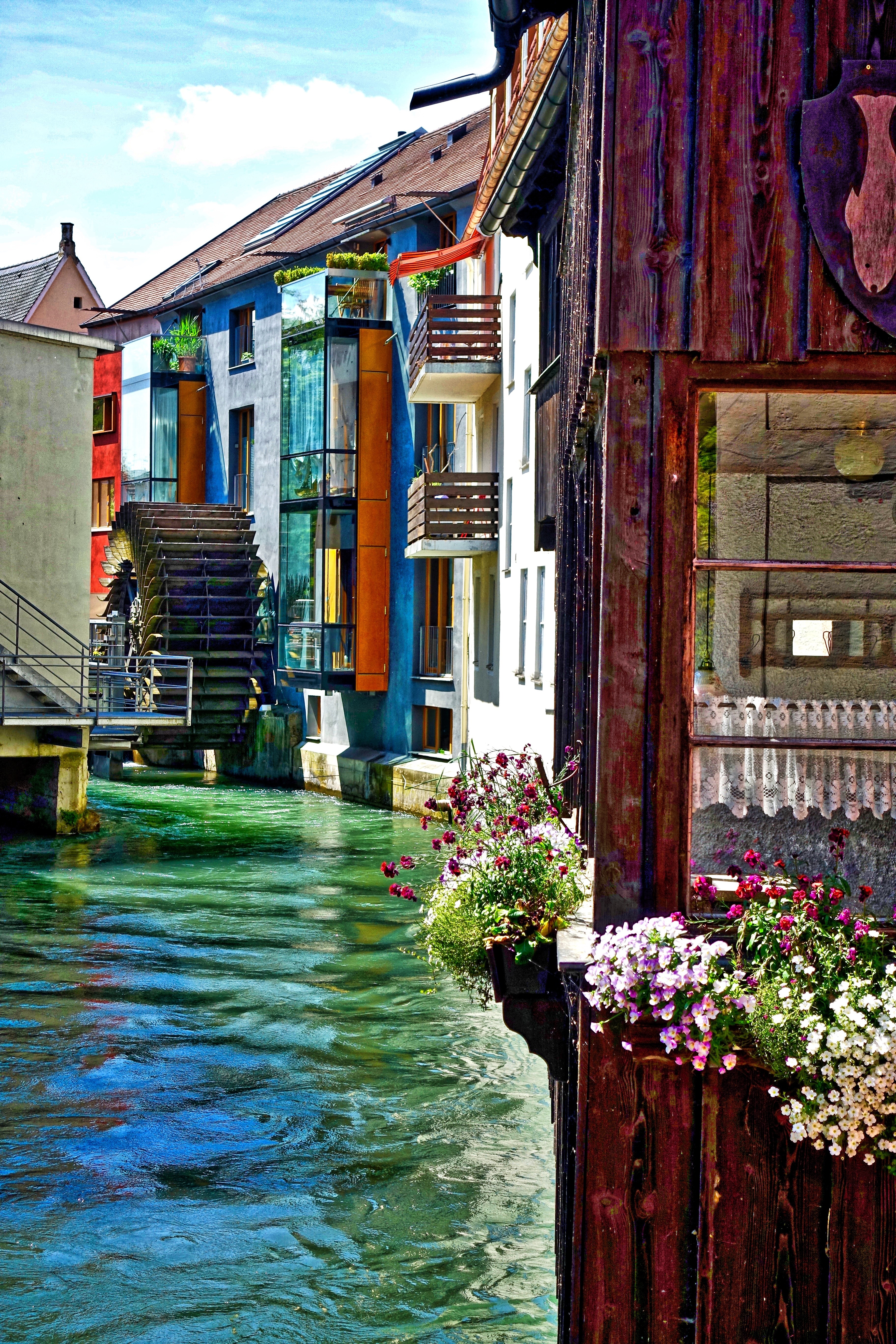 body of water with flowers and houses