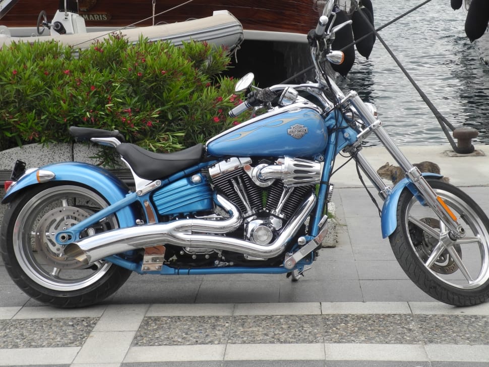 blue, black and gray chopper motorcycle parked near body of water preview