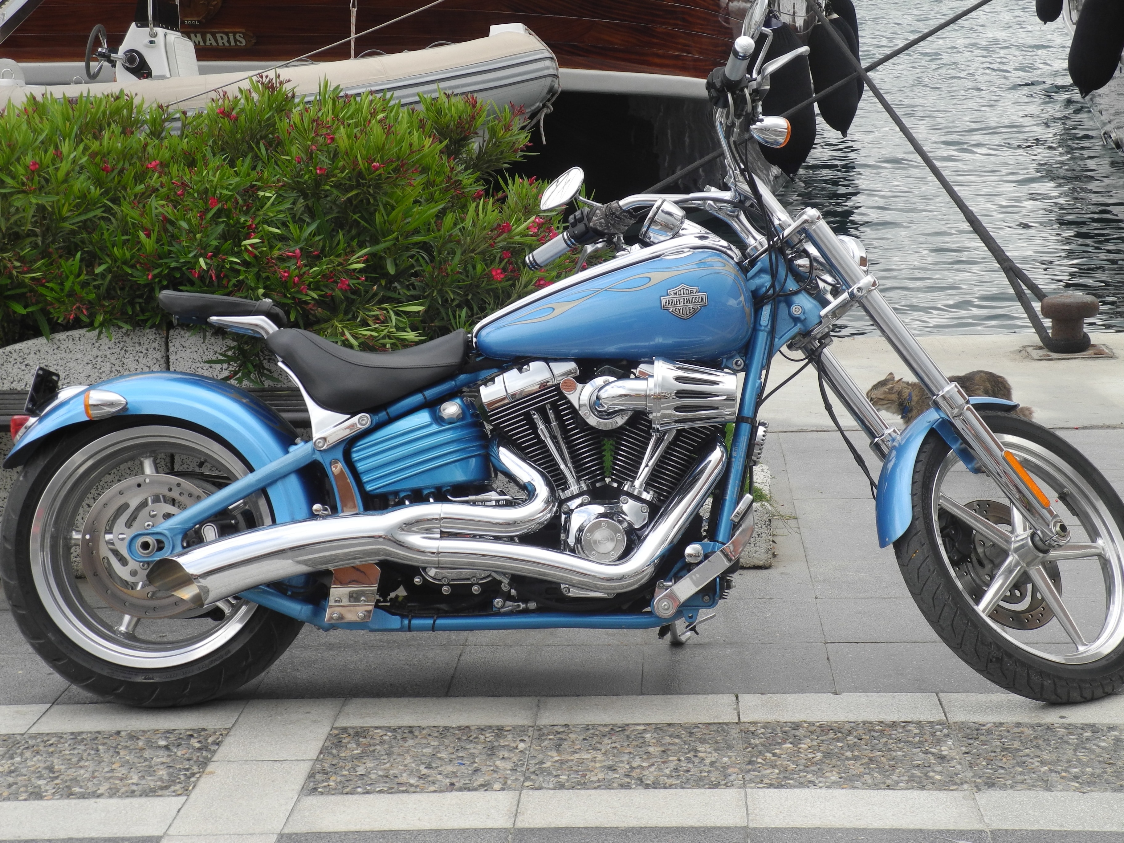 blue, black and gray chopper motorcycle parked near body of water