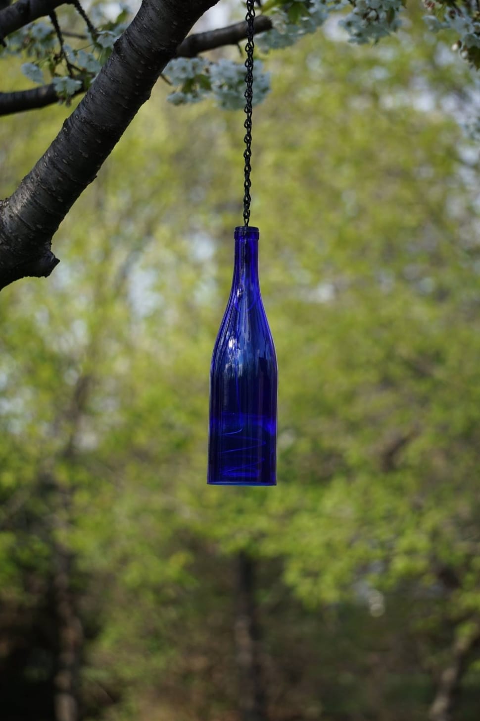 blue glass bottle preview
