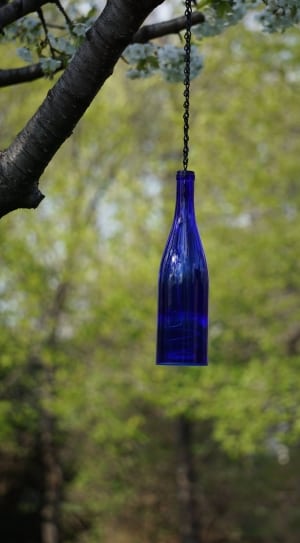 blue glass bottle thumbnail