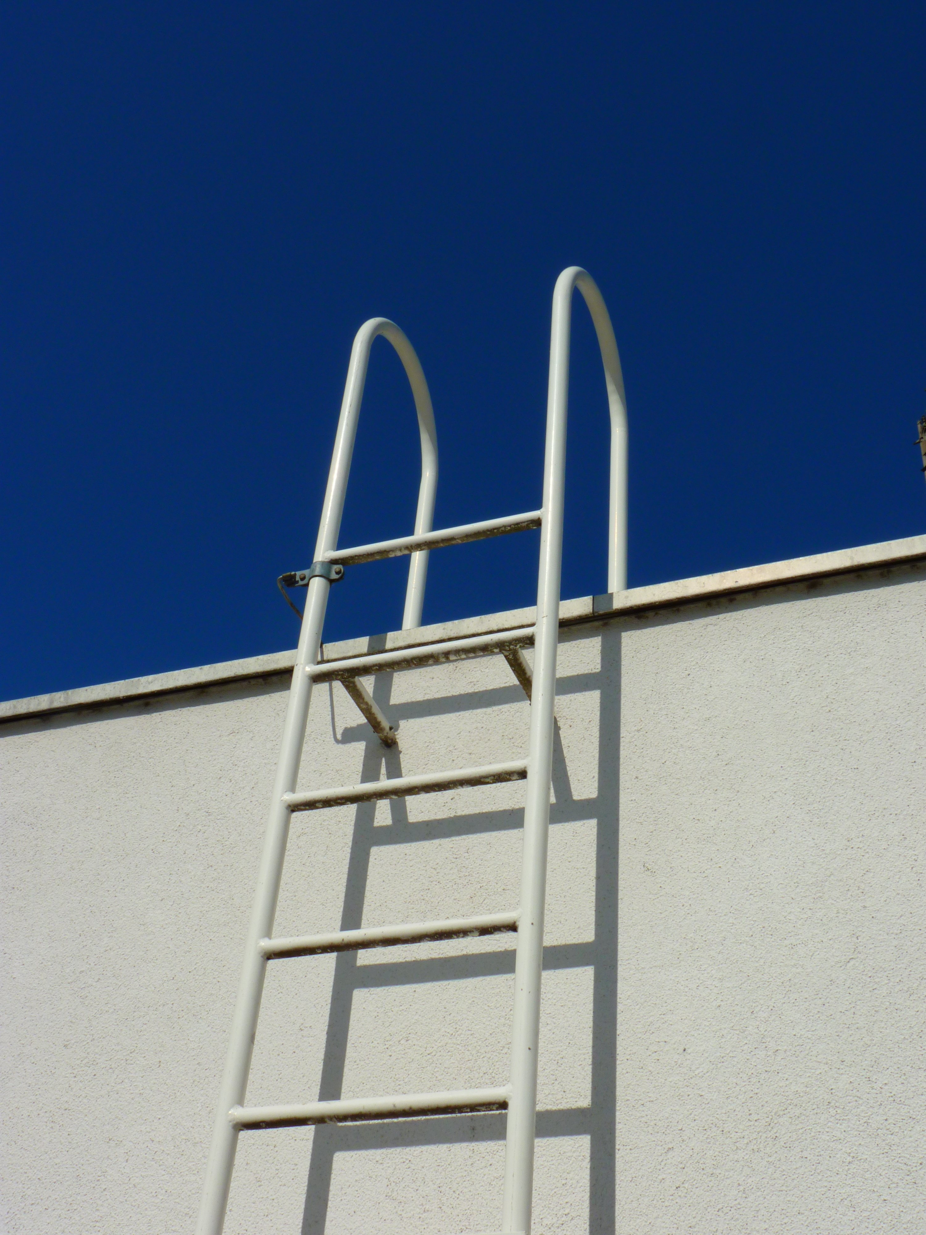 white steel ladder