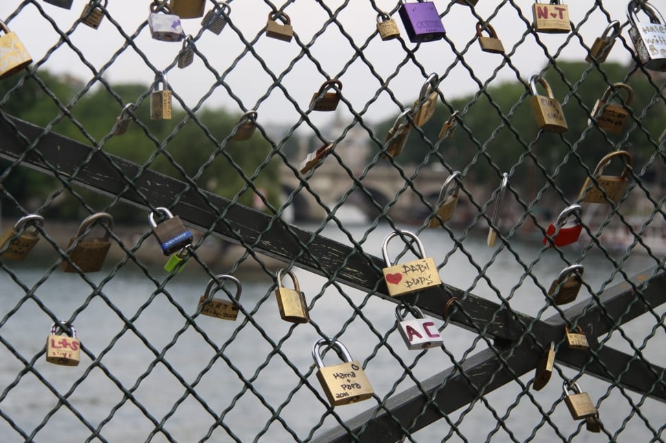 assorted padlocks on lovelock bridge preview