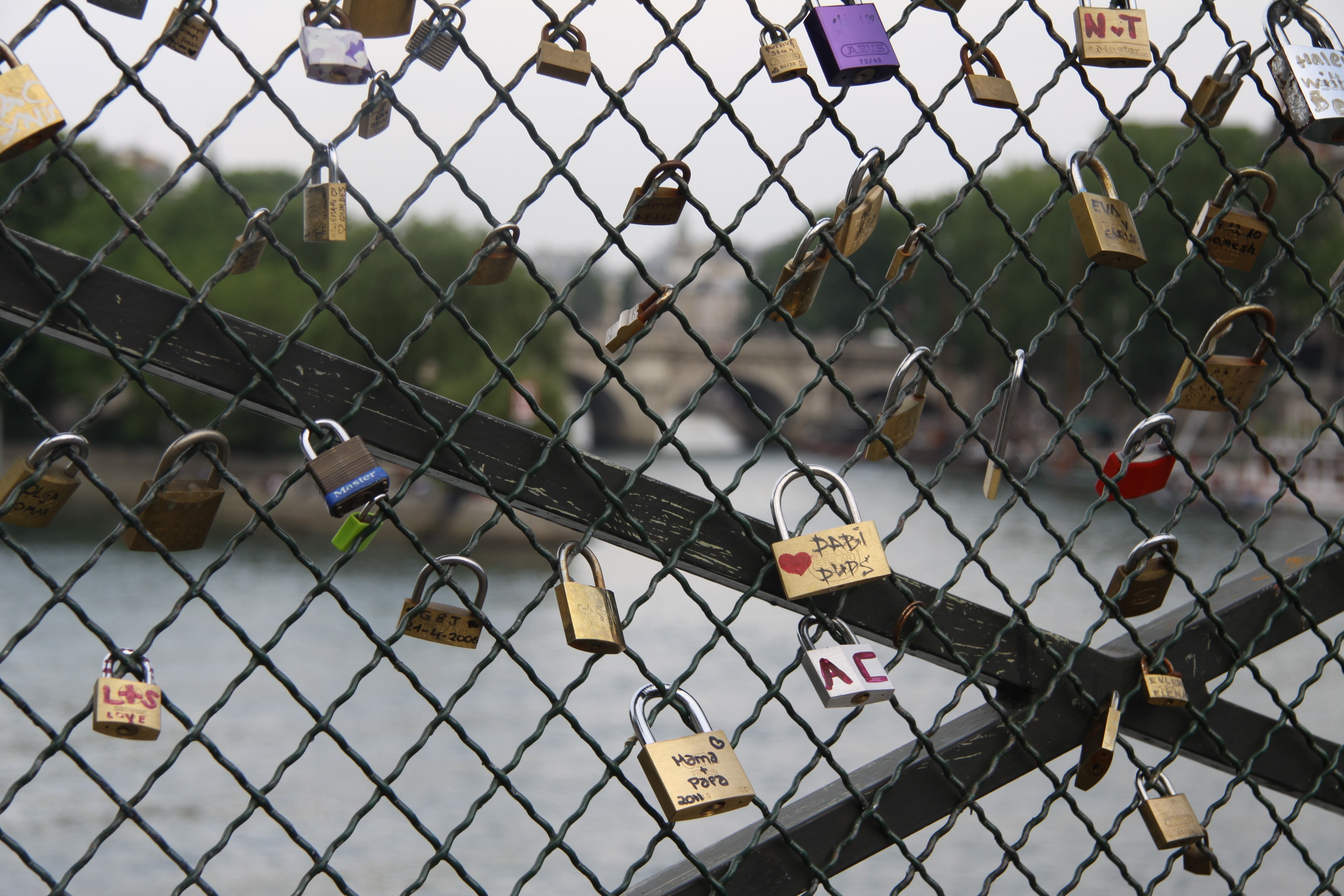 assorted padlocks on lovelock bridge