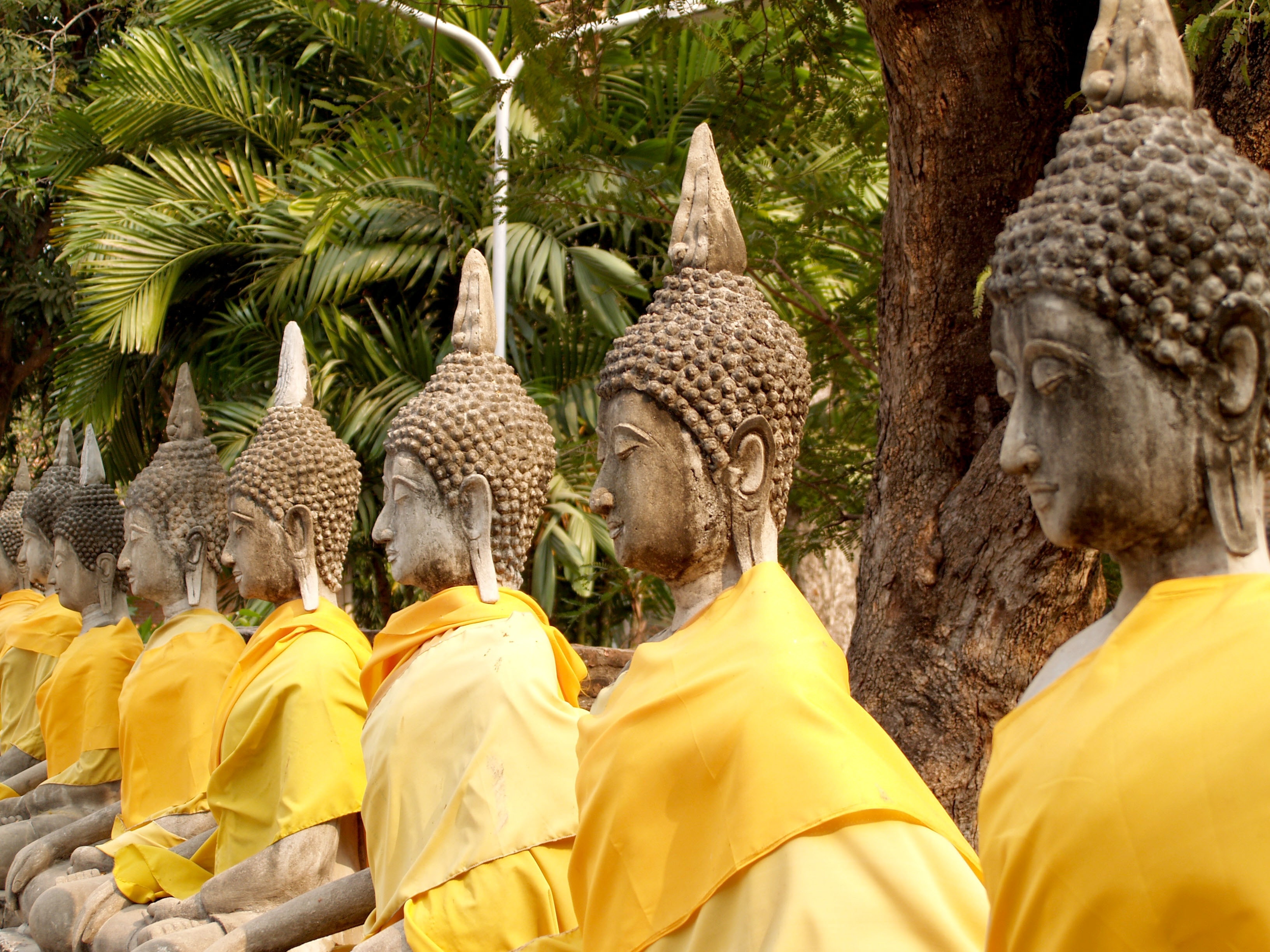 meditating buddha statues