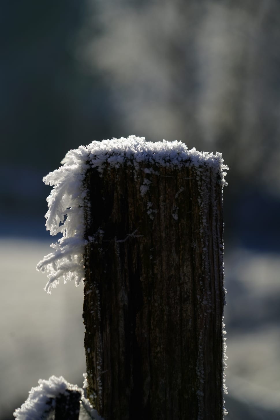 snow on wooden selective focus photography preview