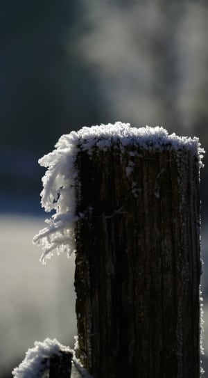 snow on wooden selective focus photography thumbnail
