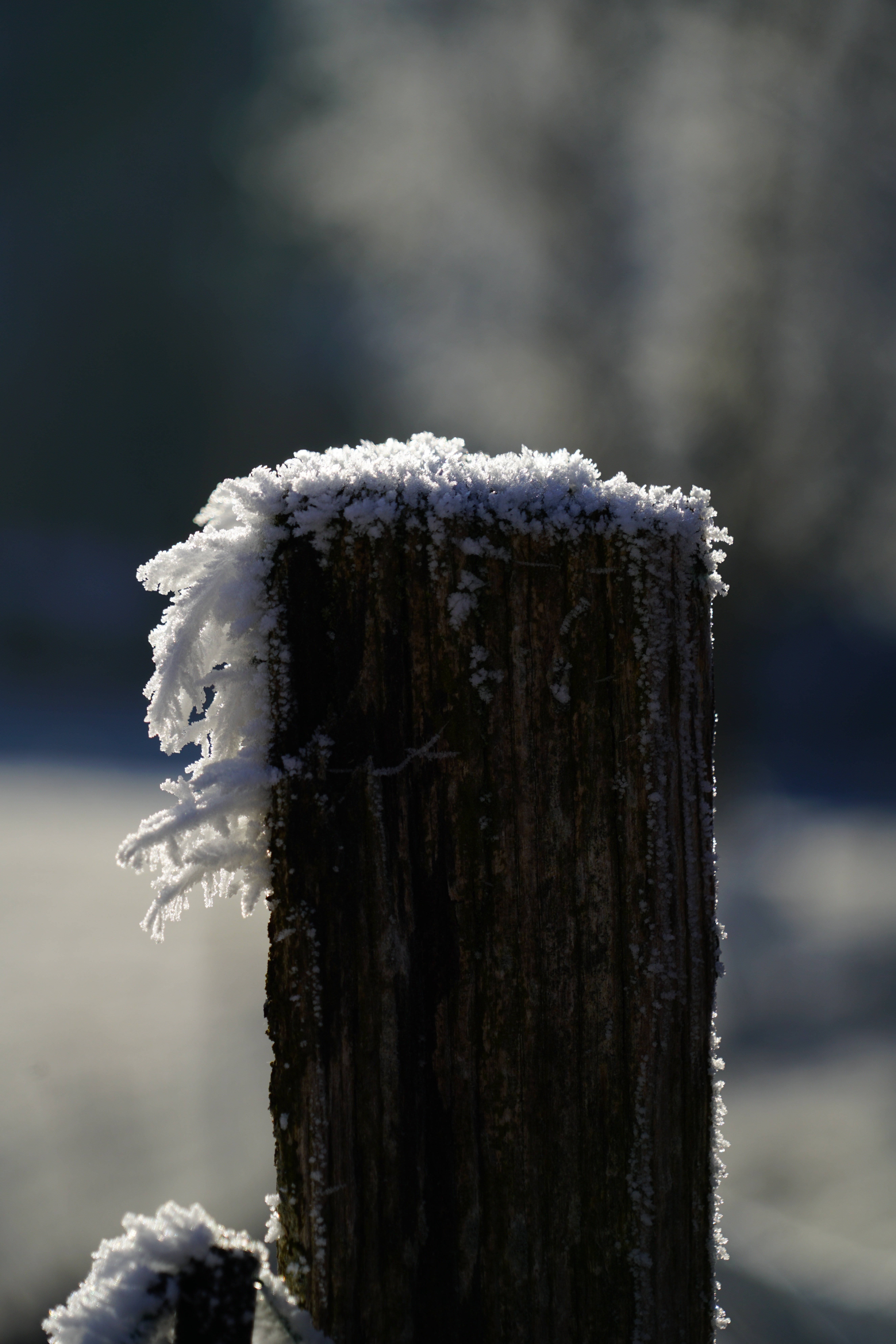 snow on wooden selective focus photography