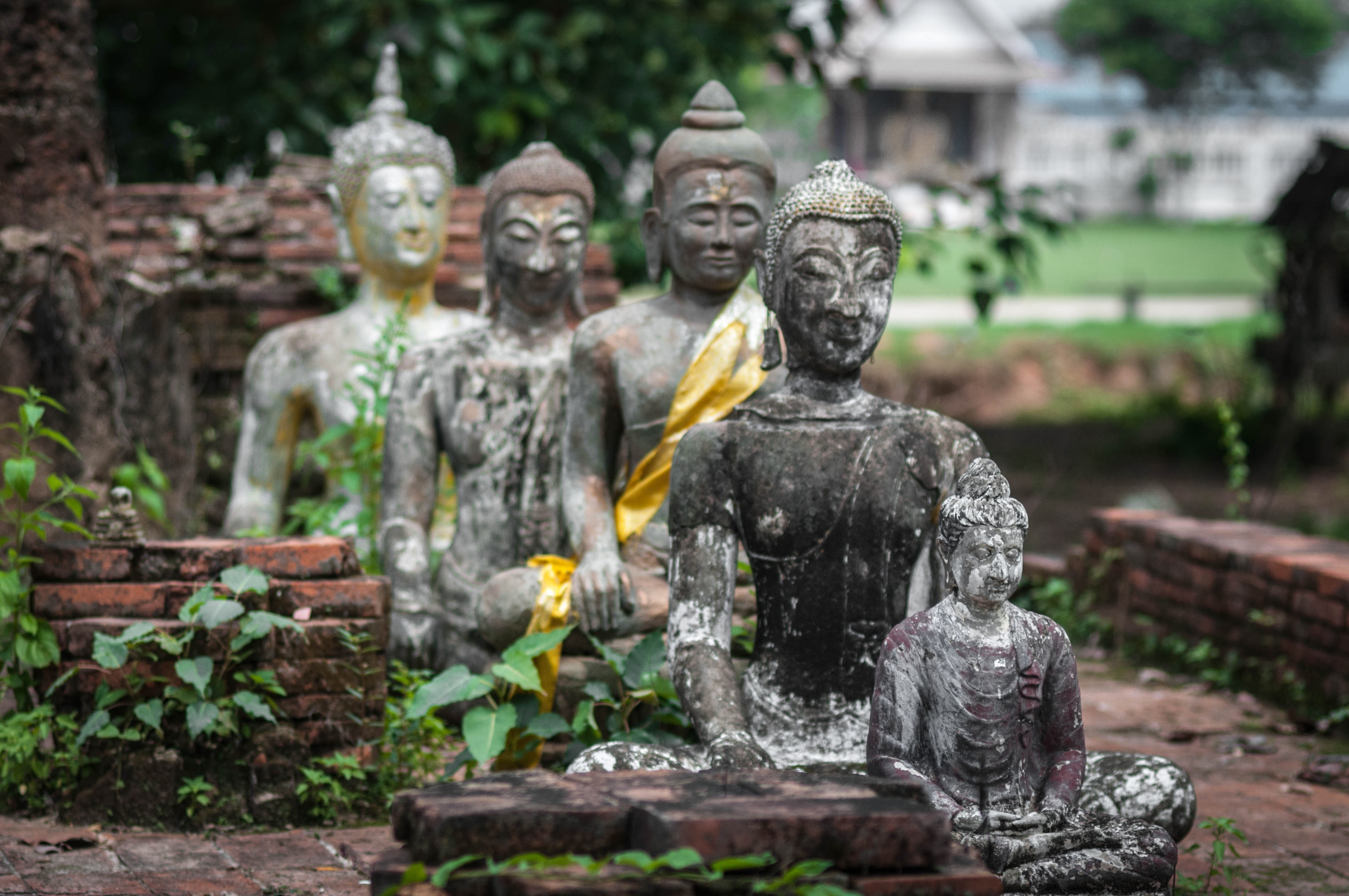 4 buddha concrete statuette