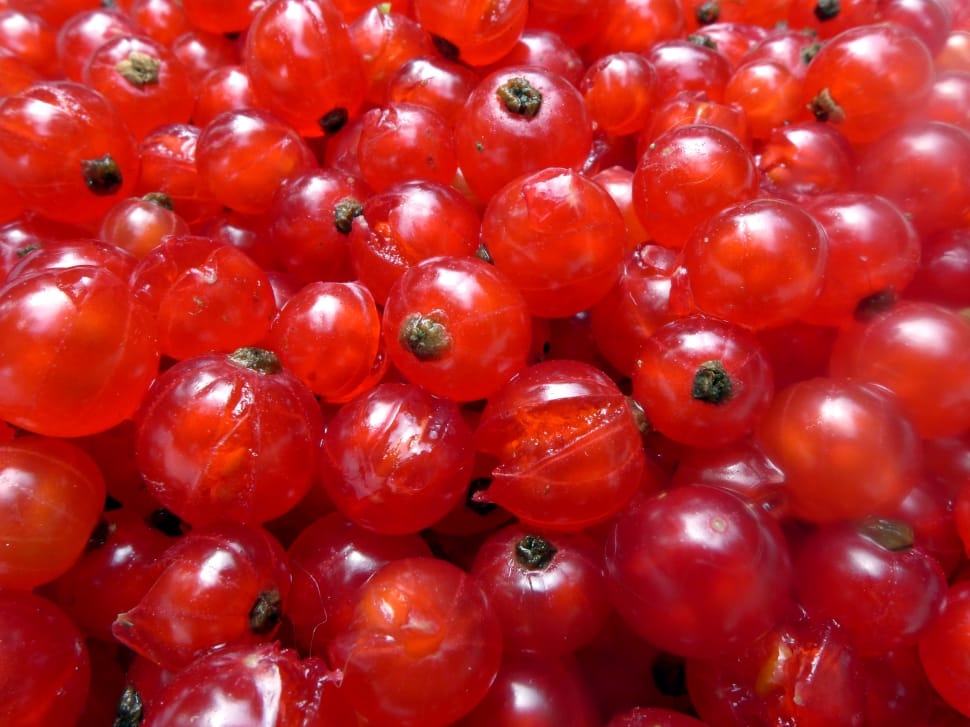 fresh red rund fruits preview