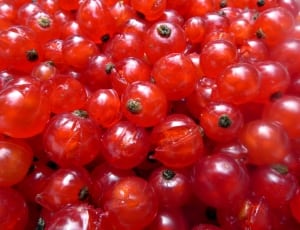 fresh red rund fruits thumbnail