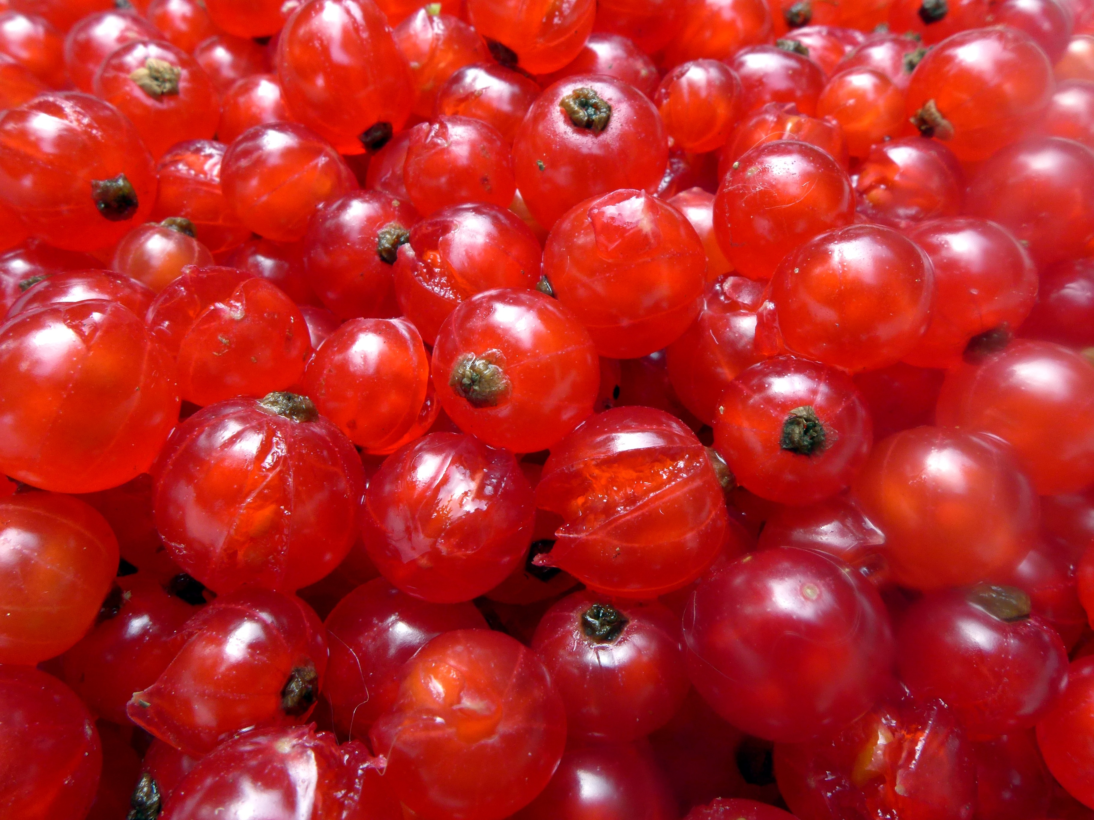 fresh red rund fruits