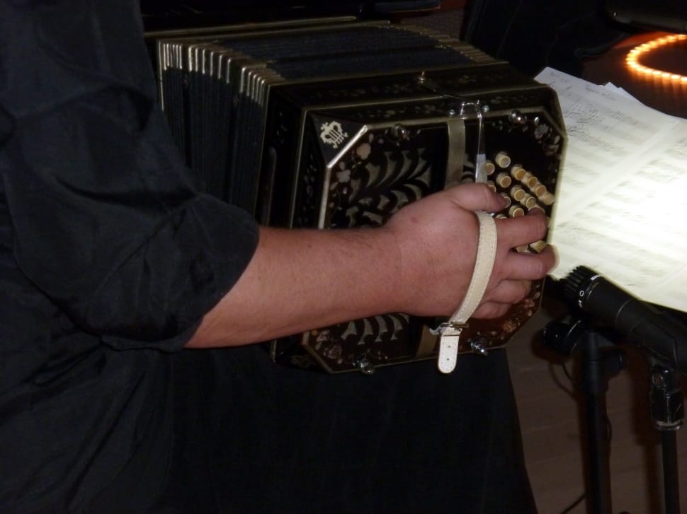 person playing black accordion preview