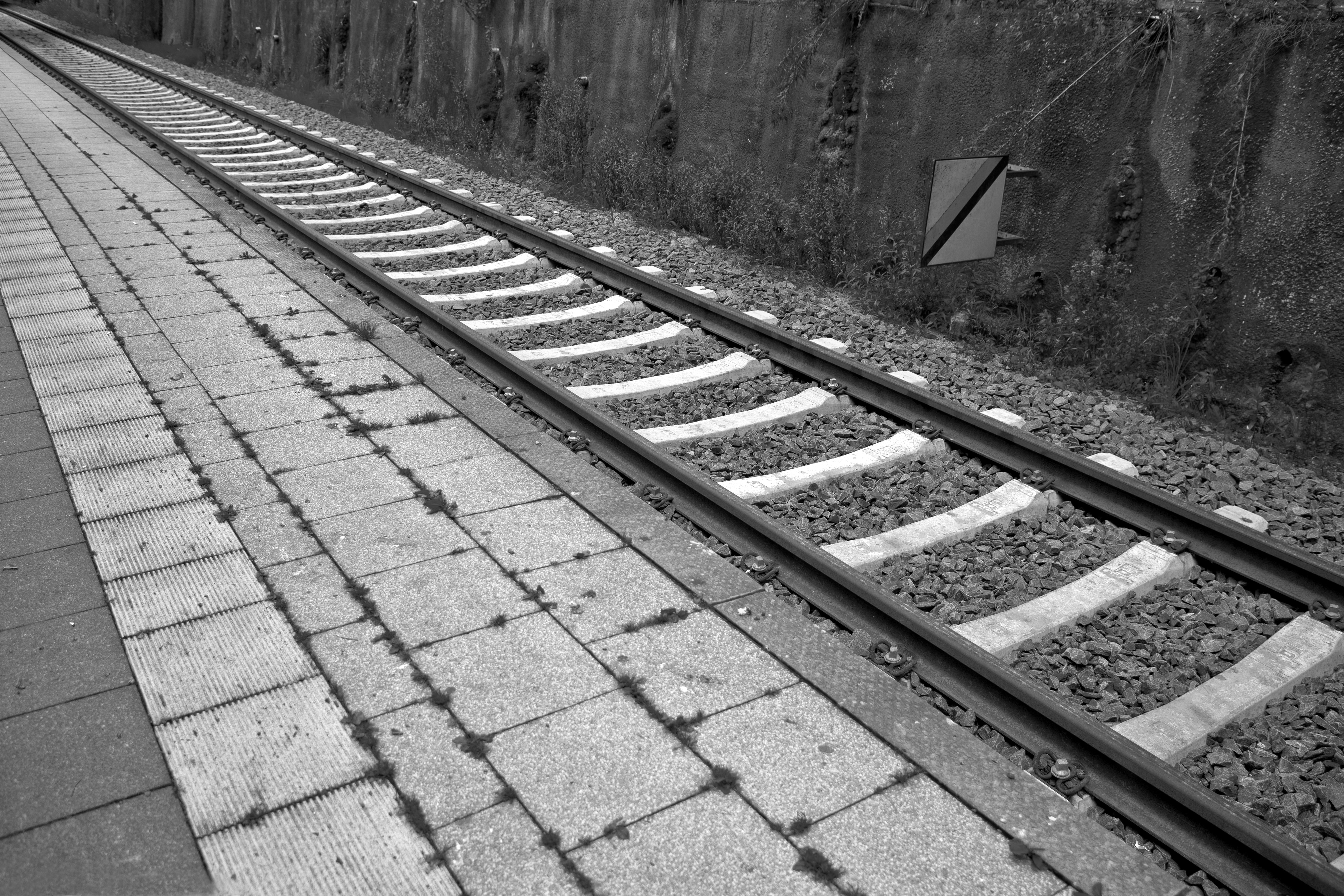 grayscale portrait of train track