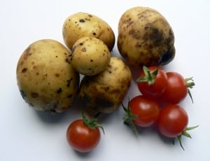 brown potatoes and tomatoes thumbnail