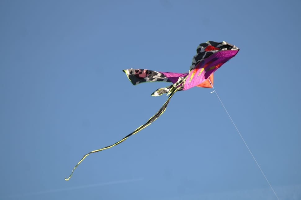 purple black and white kite preview