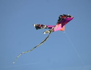 purple black and white kite thumbnail