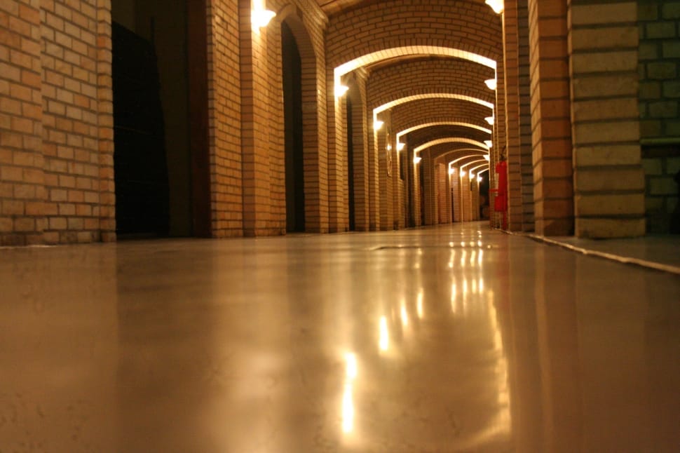 brown pathway preview