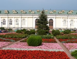 pink and red floral garden near white concrete house thumbnail