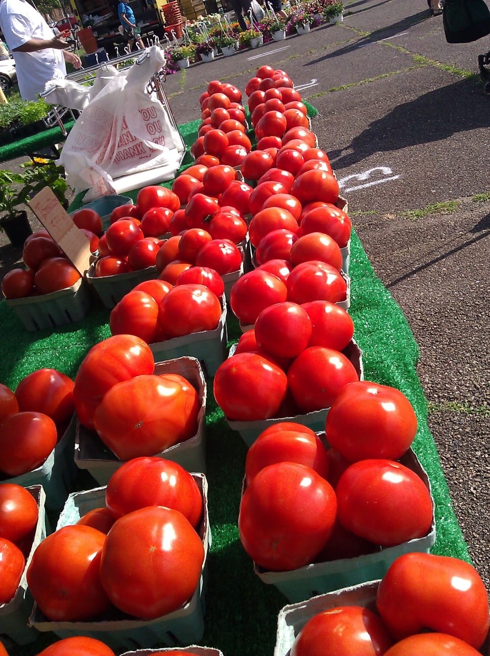 tomato fruit lot preview