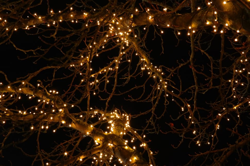string lights free image | Peakpx